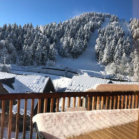 Appartement Aux Pieds Des Pistes De Ski Laveissière Extérieur photo