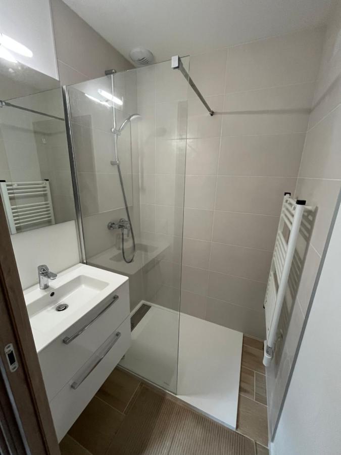 Appartement Aux Pieds Des Pistes De Ski Laveissière Extérieur photo