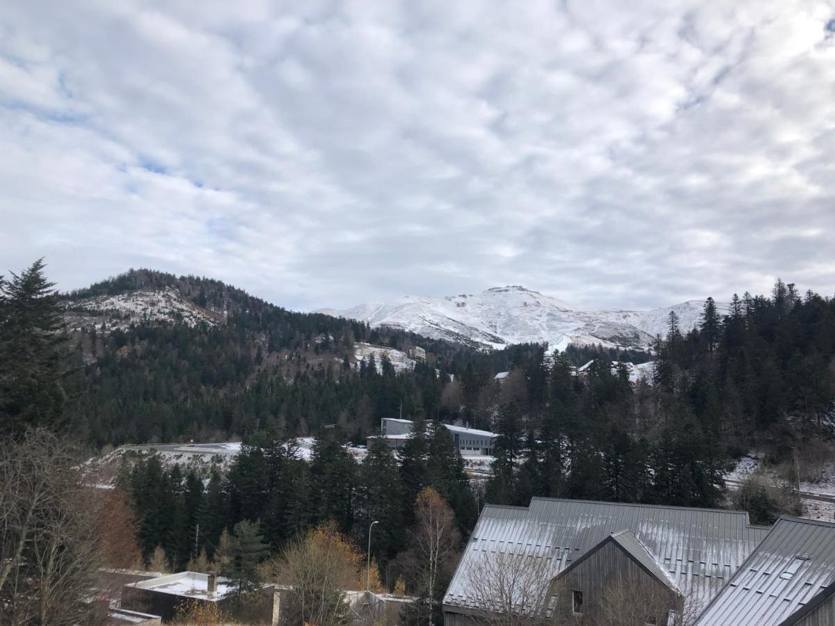 Appartement Aux Pieds Des Pistes De Ski Laveissière Extérieur photo