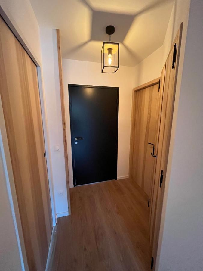Appartement Aux Pieds Des Pistes De Ski Laveissière Extérieur photo