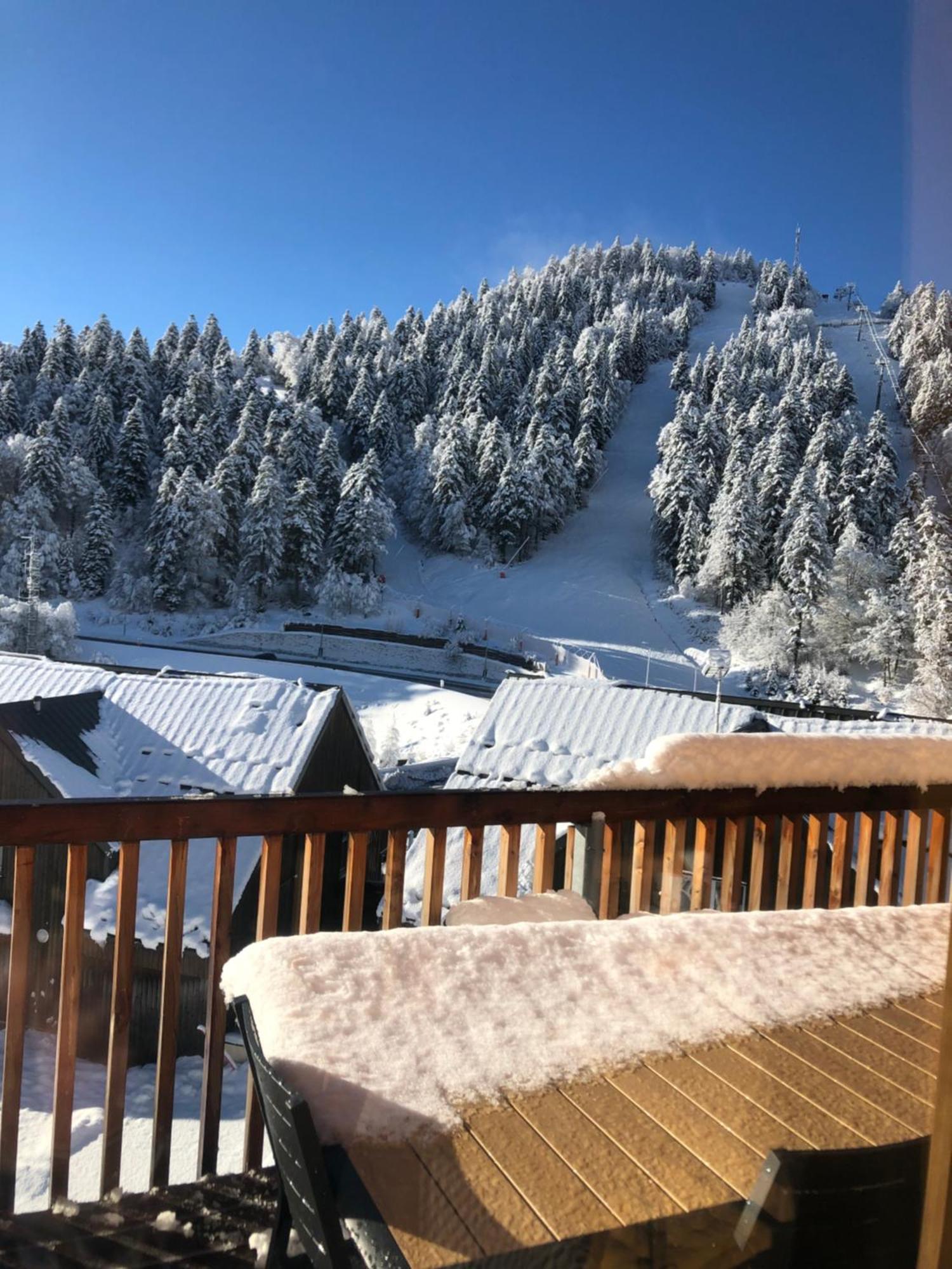 Appartement Aux Pieds Des Pistes De Ski Laveissière Extérieur photo