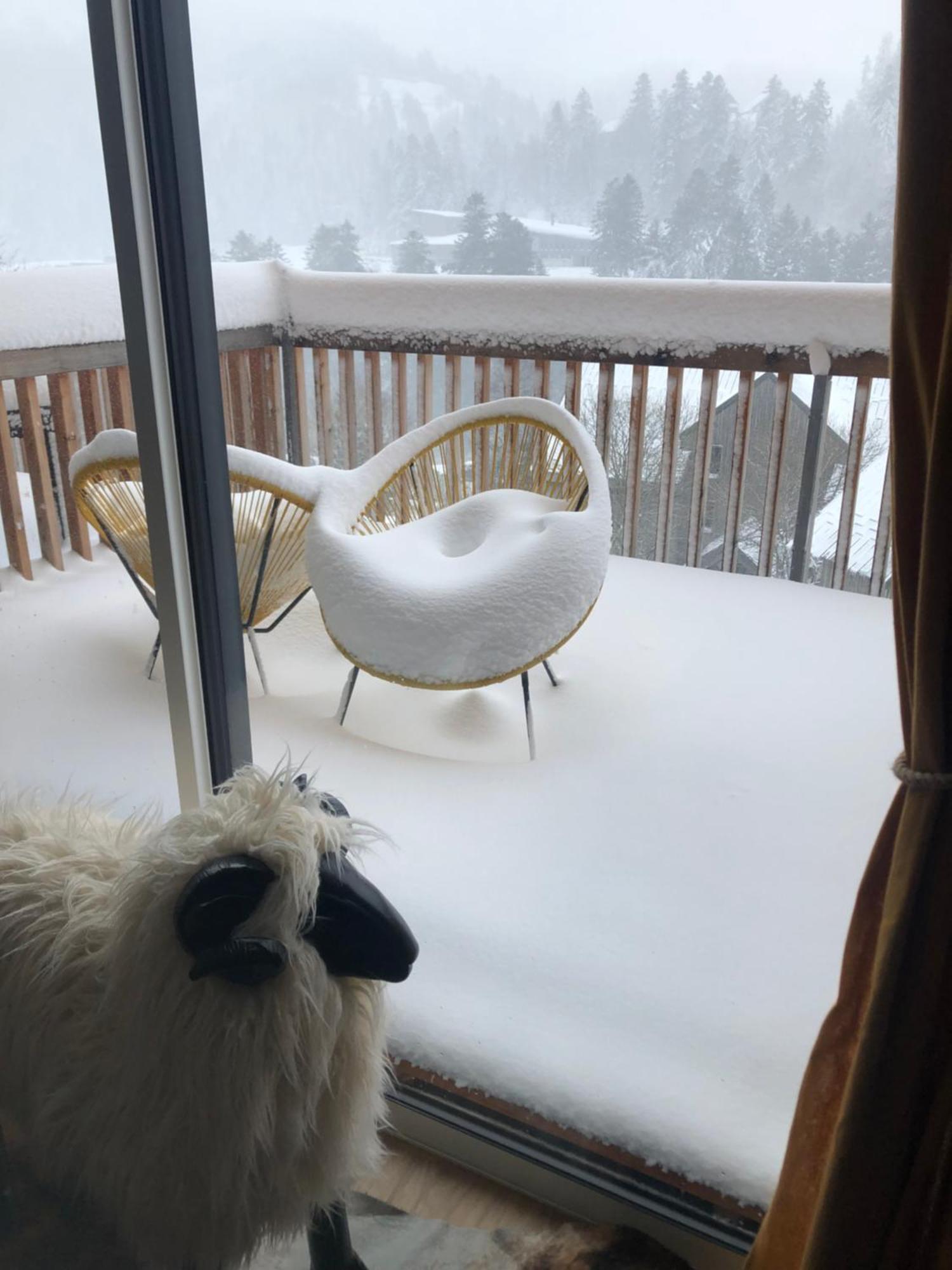 Appartement Aux Pieds Des Pistes De Ski Laveissière Extérieur photo